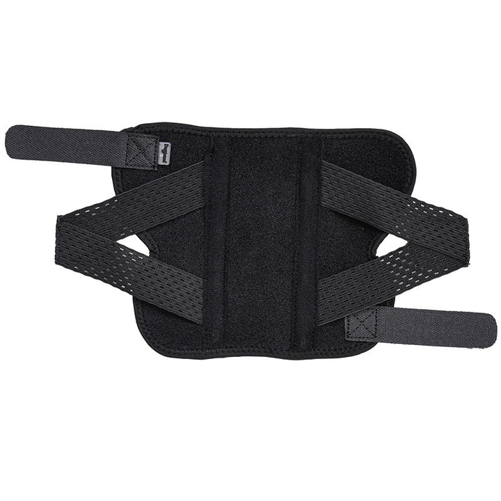 hind leg support for pet dogs