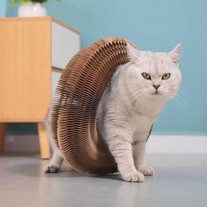 Accordion Cat Scratcher
