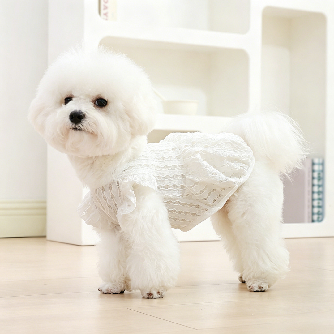 Princess Pet Dress