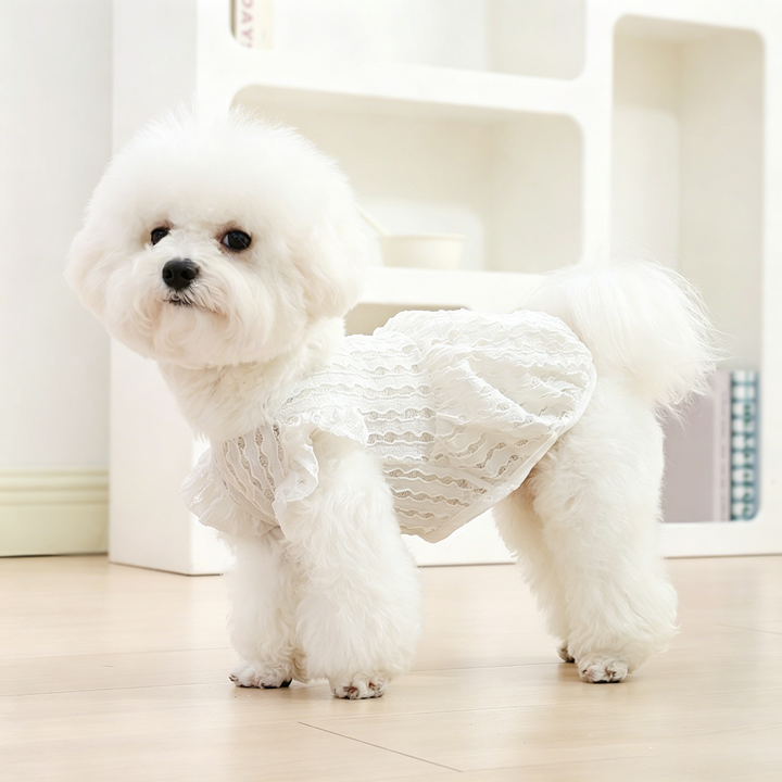 Princess Pet Dress