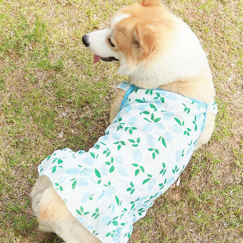 Cooling Dog Dress Vest