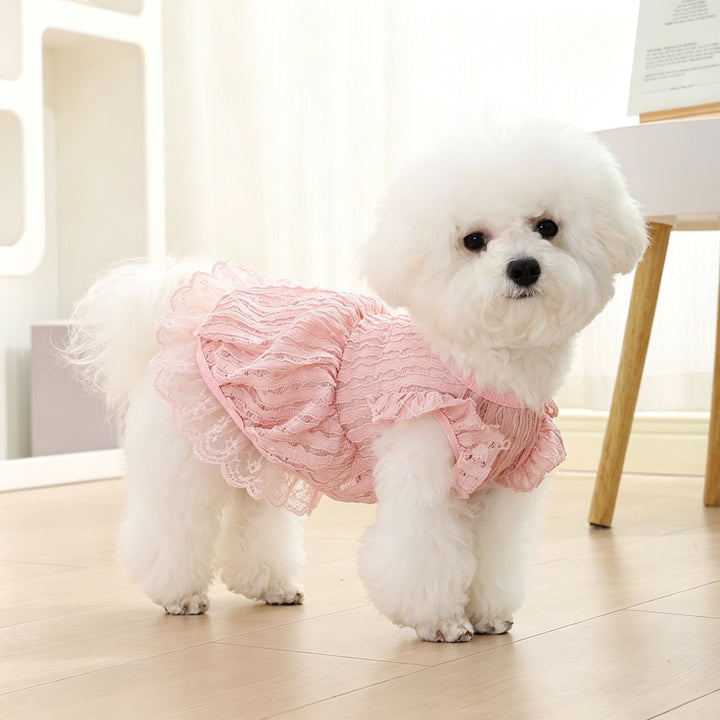 Princess Pet Dress