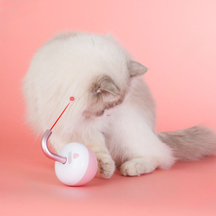 Rolling Fun Cat Toy
