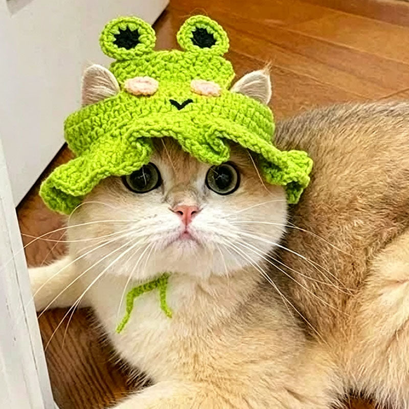 Knitted frog hat for cats