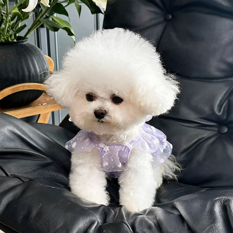Dog-shaped tulle princess dress