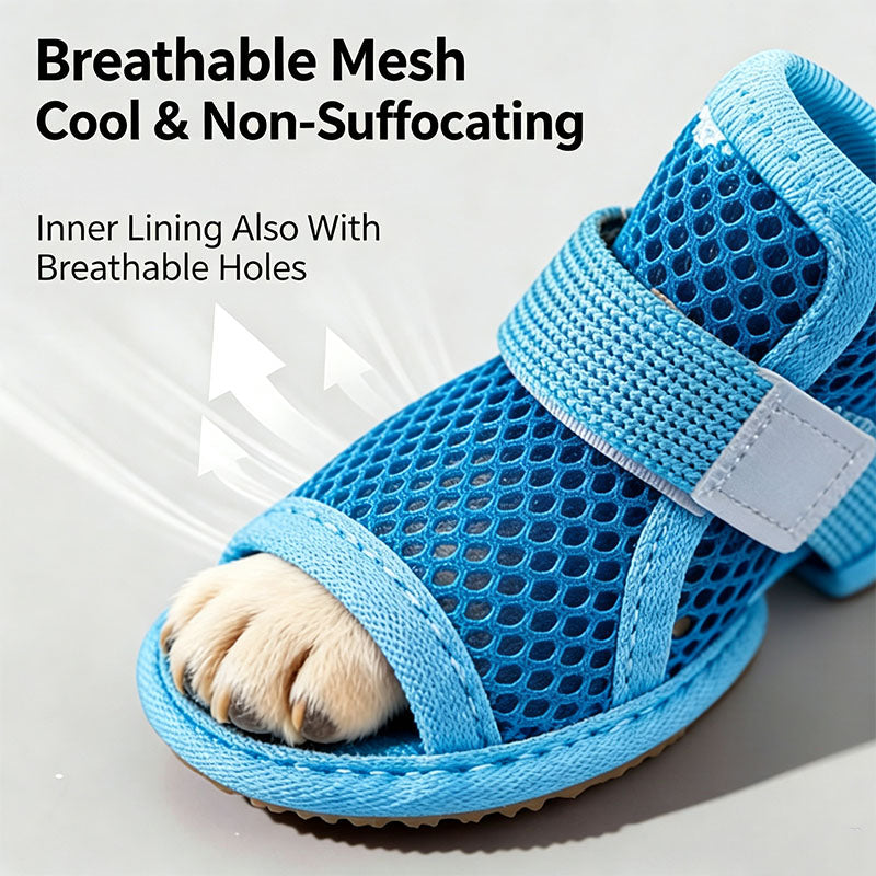Breathable mesh dog shoes for summer
