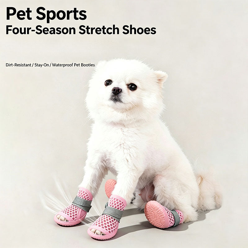 Breathable mesh dog shoes for summer