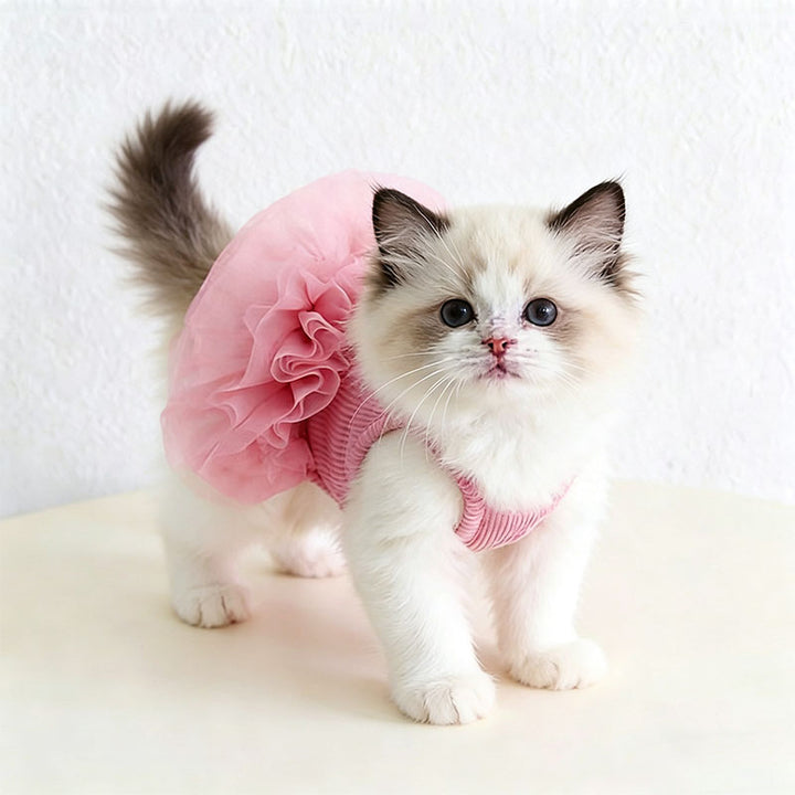 Fluffy Tulle Pet Dress