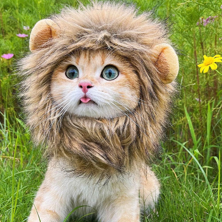 Lion Mane Costume for Pets