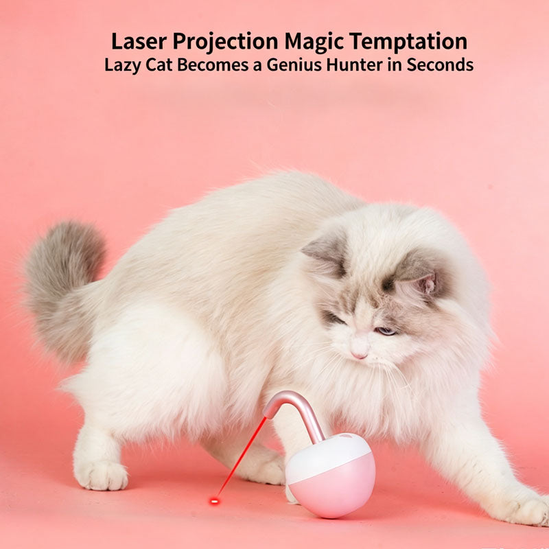 Rolling Fun Cat Toy