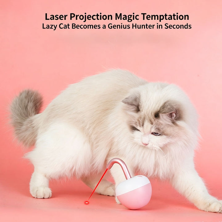 Rolling Fun Cat Toy