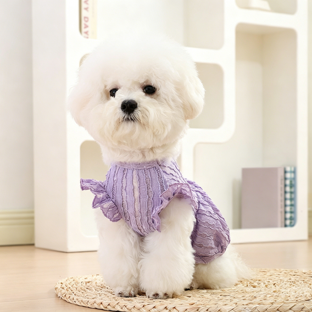 Princess Pet Dress