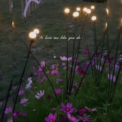 🔥Solar Powered Firefly Garden Light