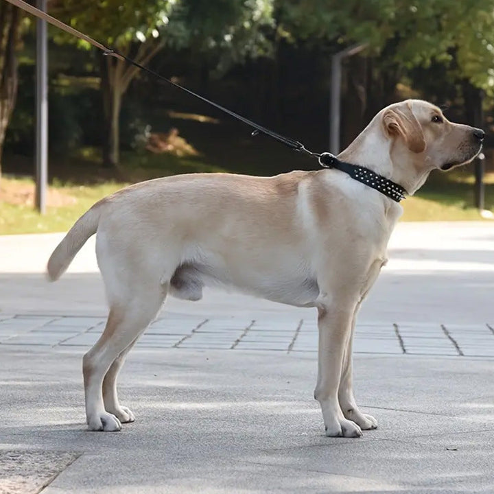 Adjustable Spiked Dog Collar Leash Set