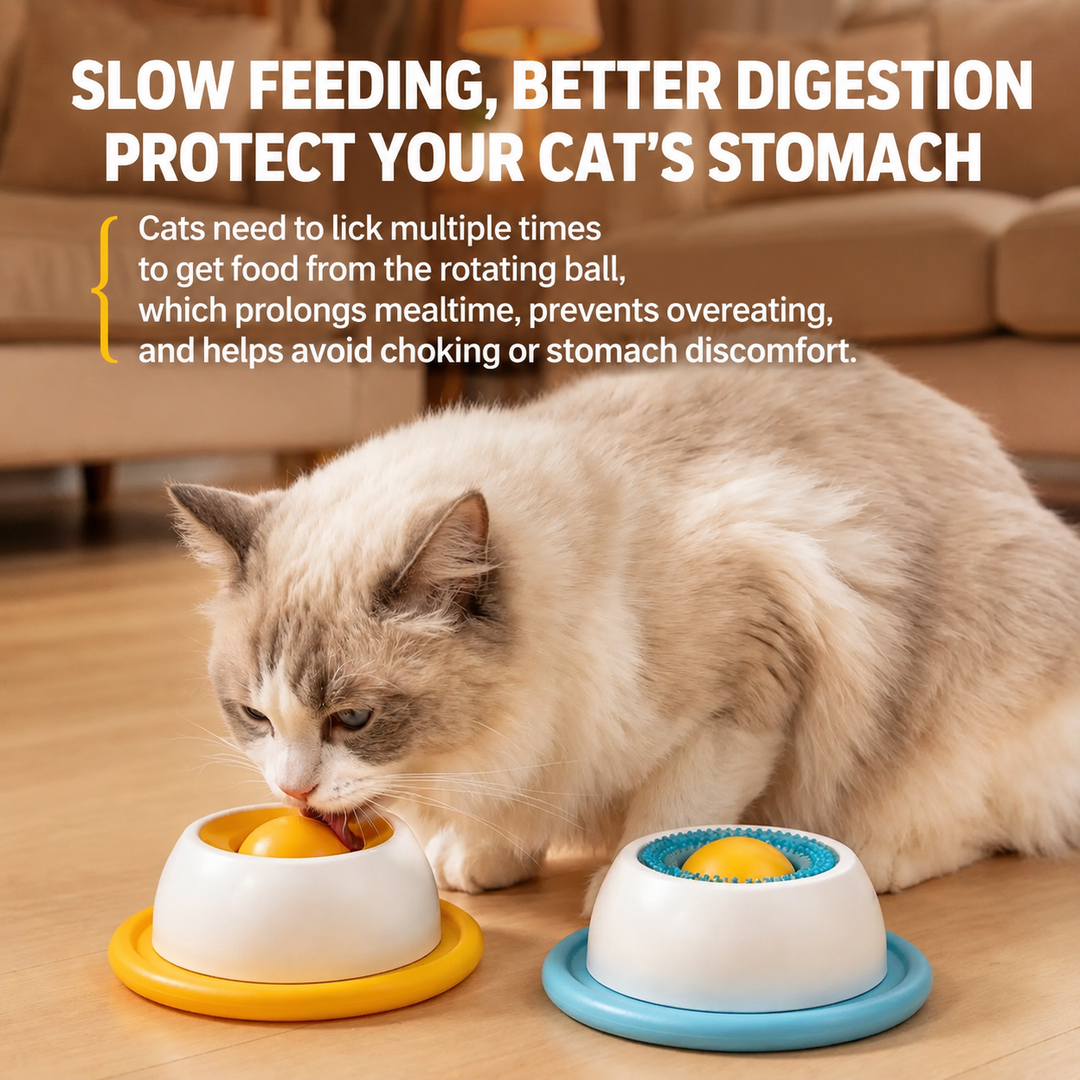 Pet Lick Mat / Lick Bowl