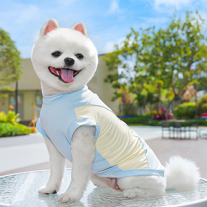 Quick-drying pet apparel