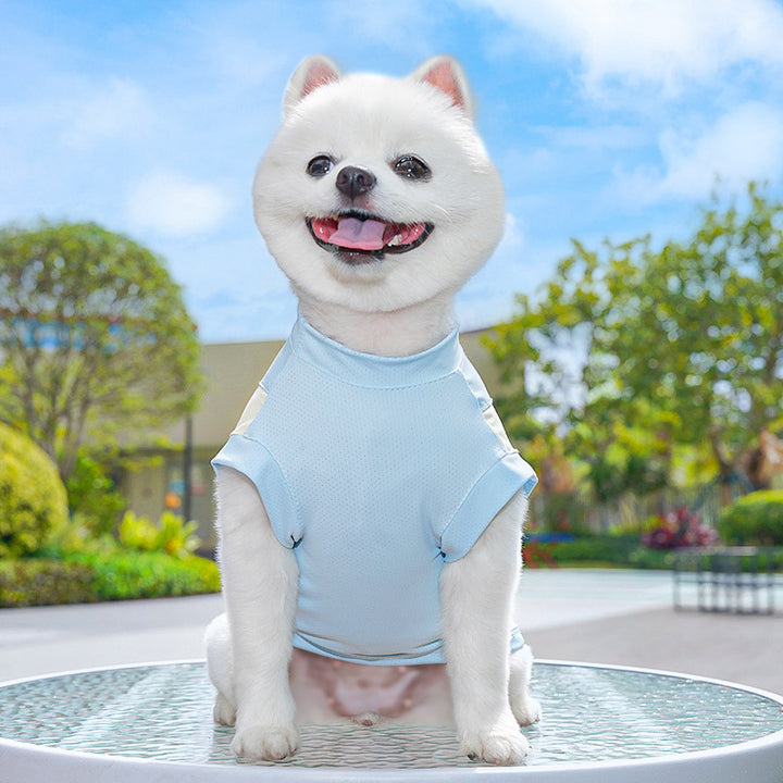 Quick-drying pet apparel