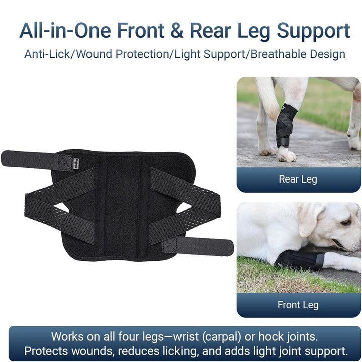hind leg support for pet dogs
