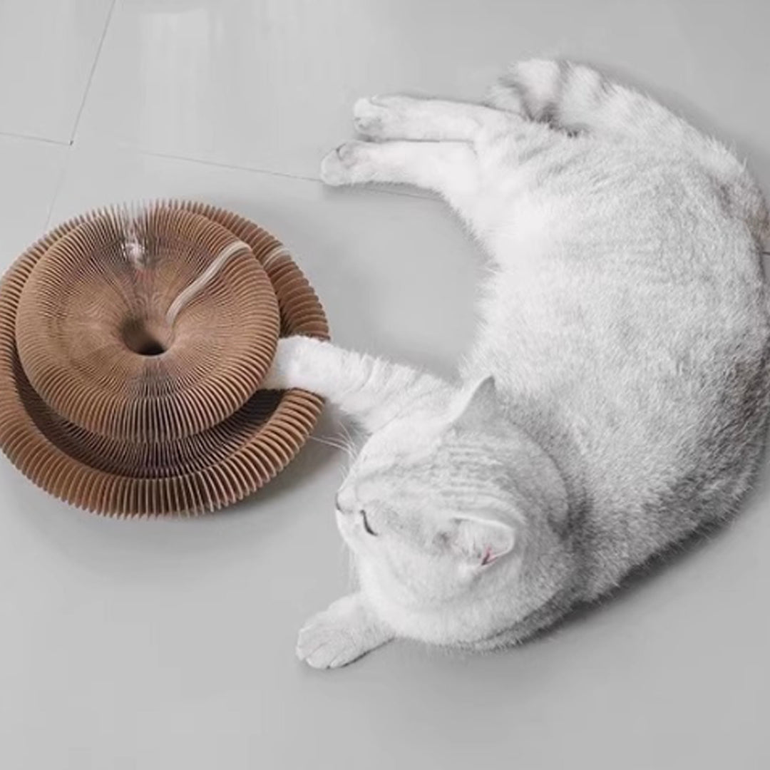 Accordion Cat Scratcher