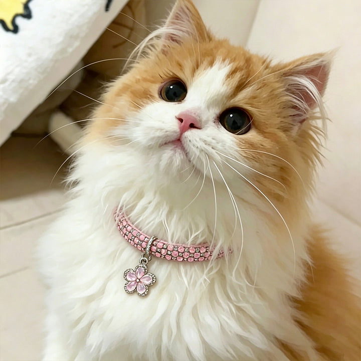 Adjustable rhinestone flower pet collar