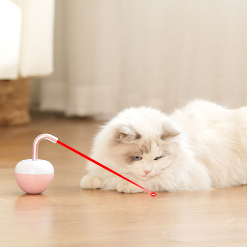 Rolling Fun Cat Toy