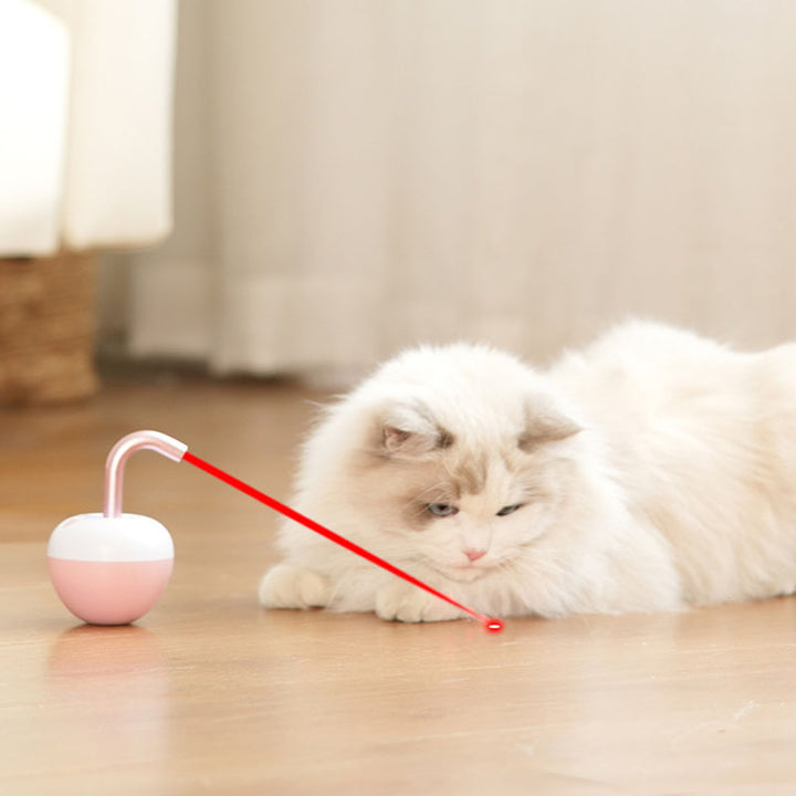 Rolling Fun Cat Toy
