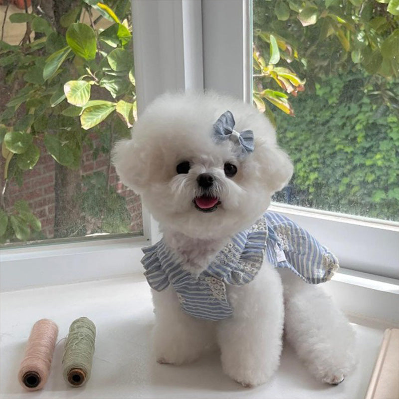 Striped lace ruffle bow dog dress