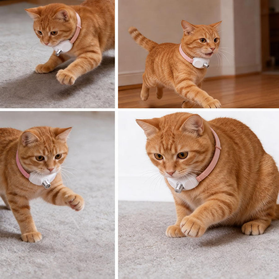 Smart Laser Cat Collar