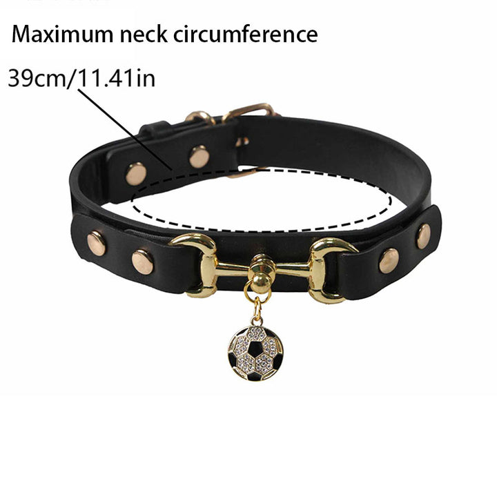 Stylish Pet Collar Accessory