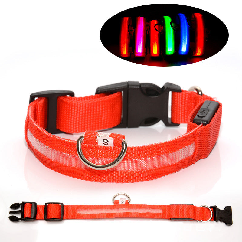 Pet LED Light-Up Collar