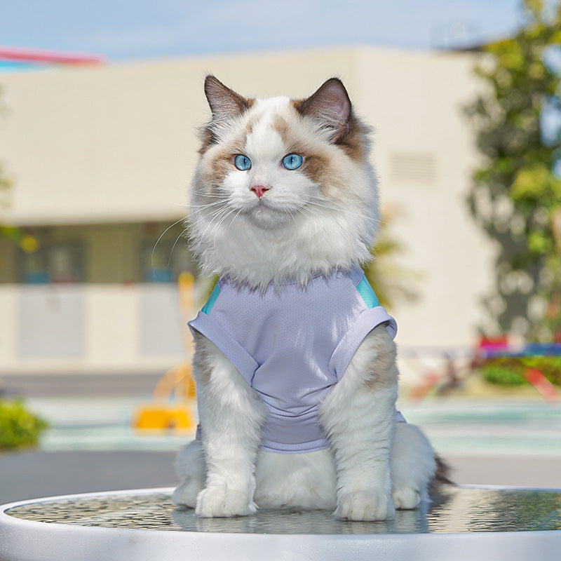 Quick-drying pet apparel