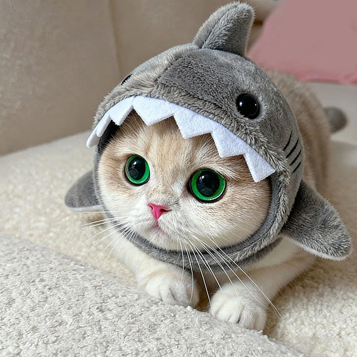 Plush Shark Headgear for Cats