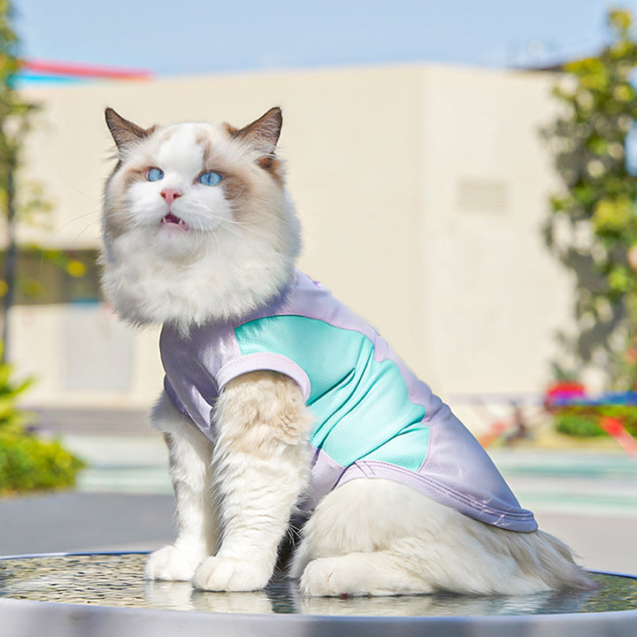 Quick-drying pet apparel