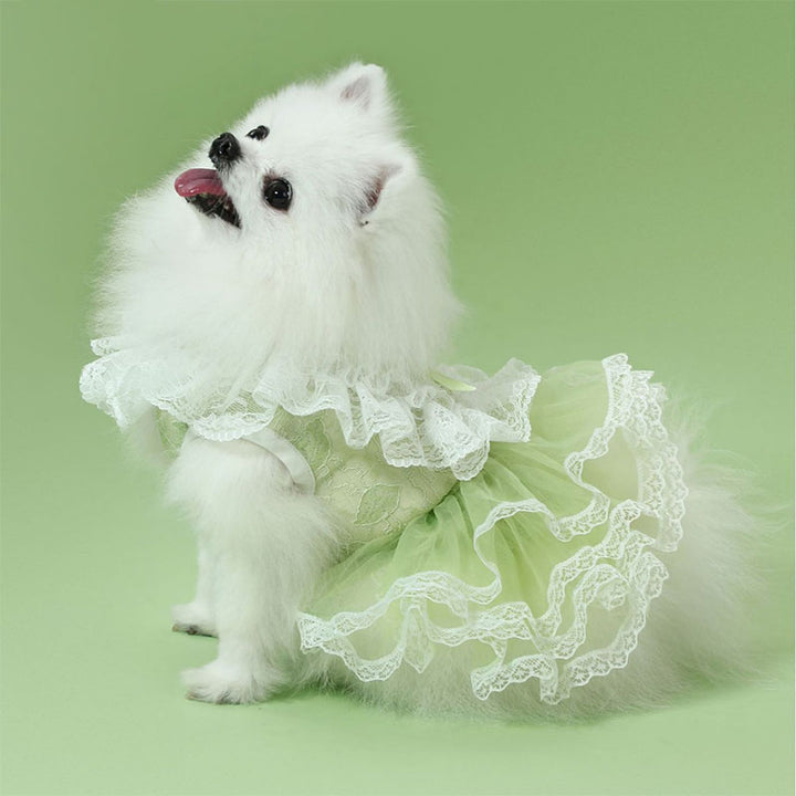 Lace Tutu Puppy Dress