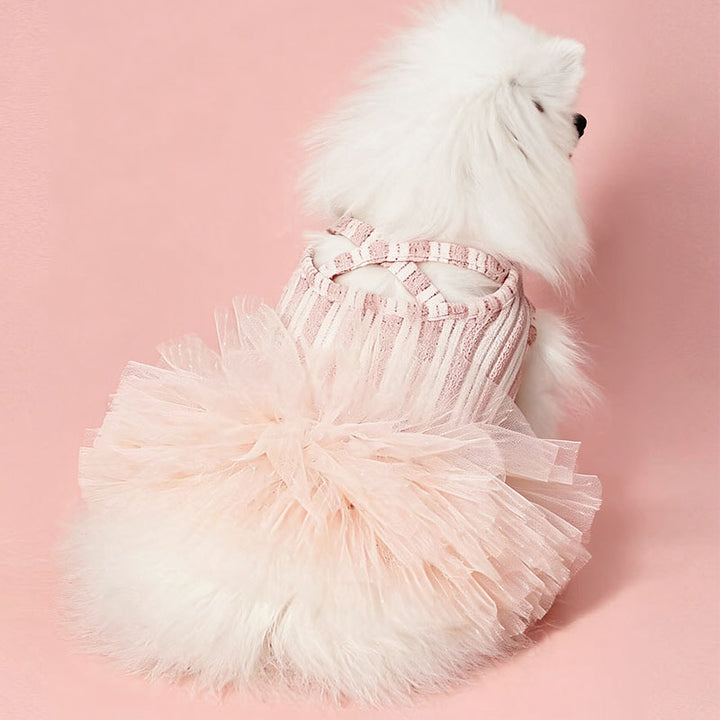 Lace Tutu Puppy Dress