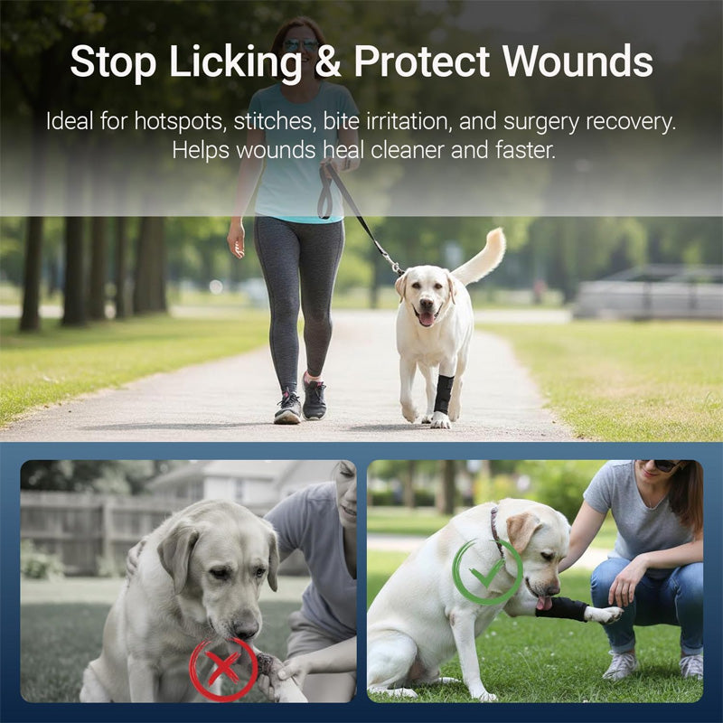 hind leg support for pet dogs