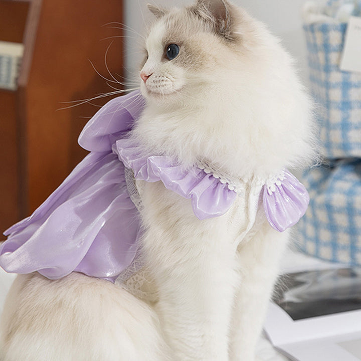 Cat-themed shimmering bow dress