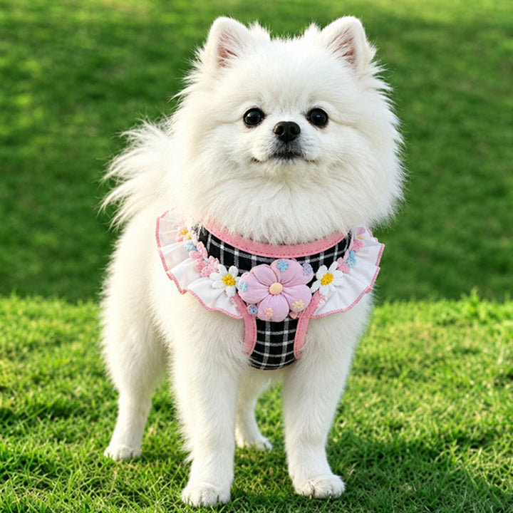 Anti-Escape Pet Harness and Leash Set