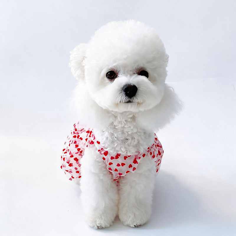 Dog-shaped tulle princess dress