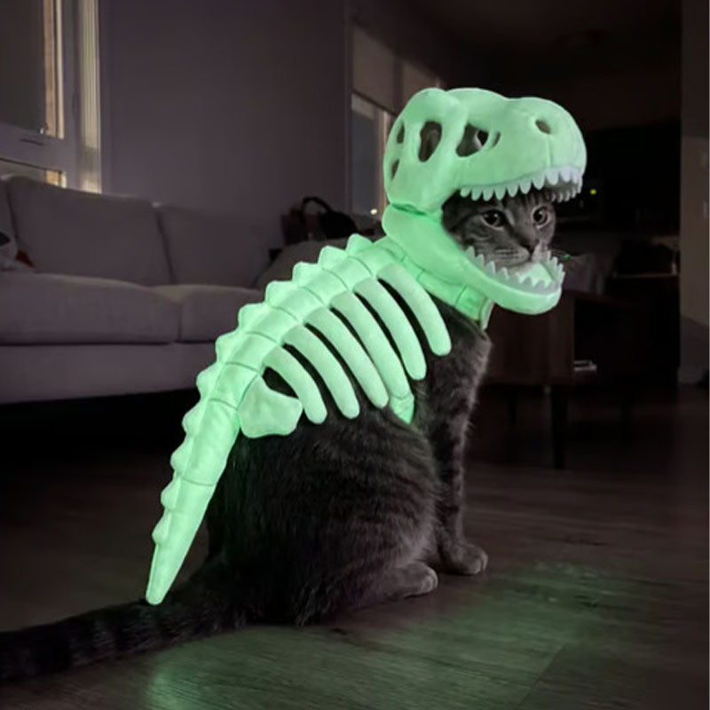 Skeleton Dinosaur Pet Costume