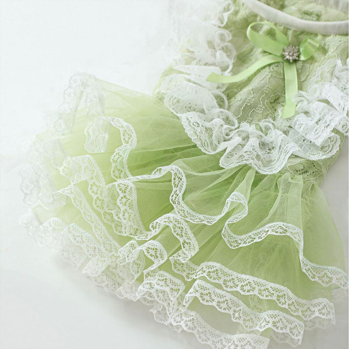 Lace Tutu Puppy Dress