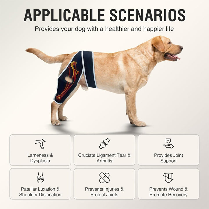 Adjustable universal knee brace for pets