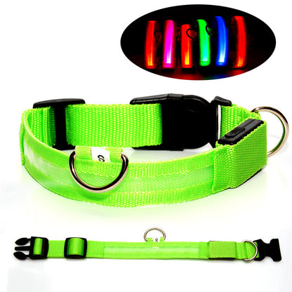 Pet LED Light-Up Collar