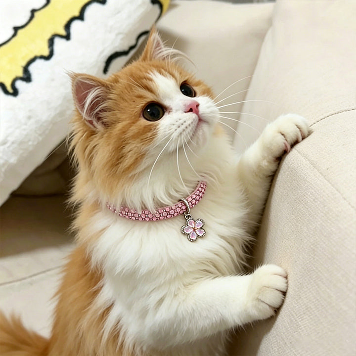 Adjustable rhinestone flower pet collar