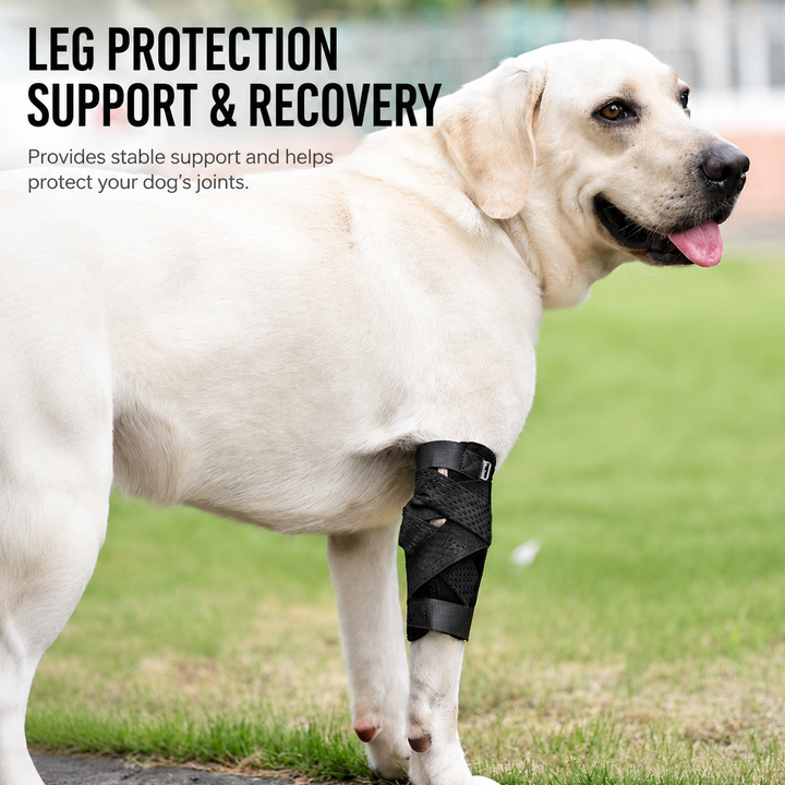 2nd Generation Dog Leg Recovery Brace