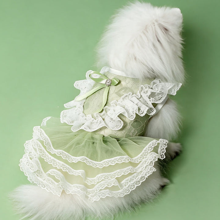 Lace Tutu Puppy Dress