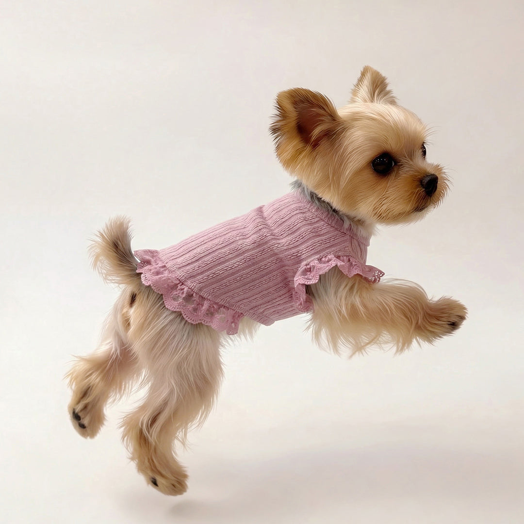 Lace Ruffle Knit Shirts for Small Dogs