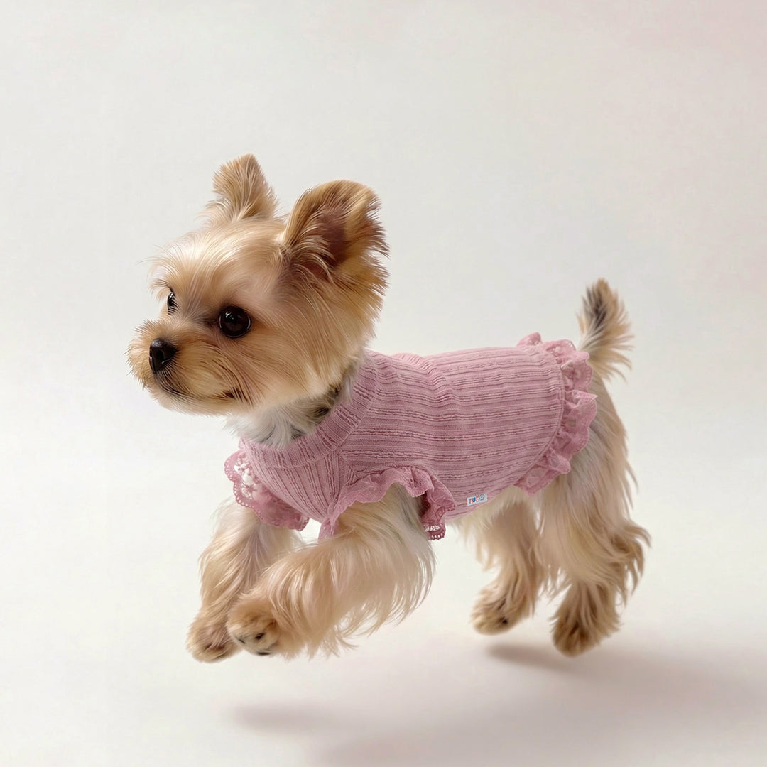 Lace Ruffle Knit Shirts for Small Dogs