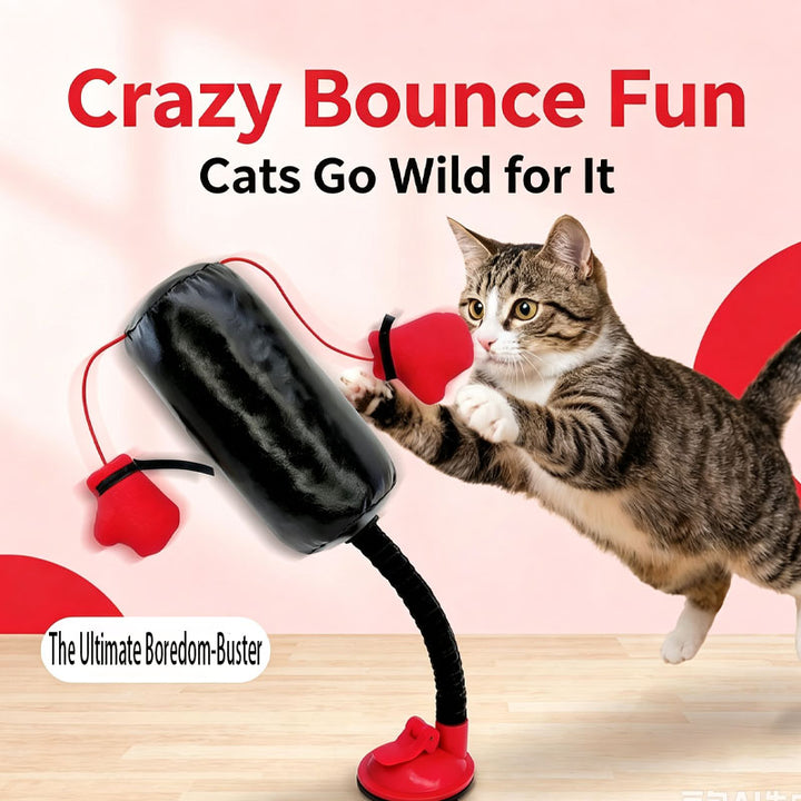 Self-Play Cat Sandbag Toy