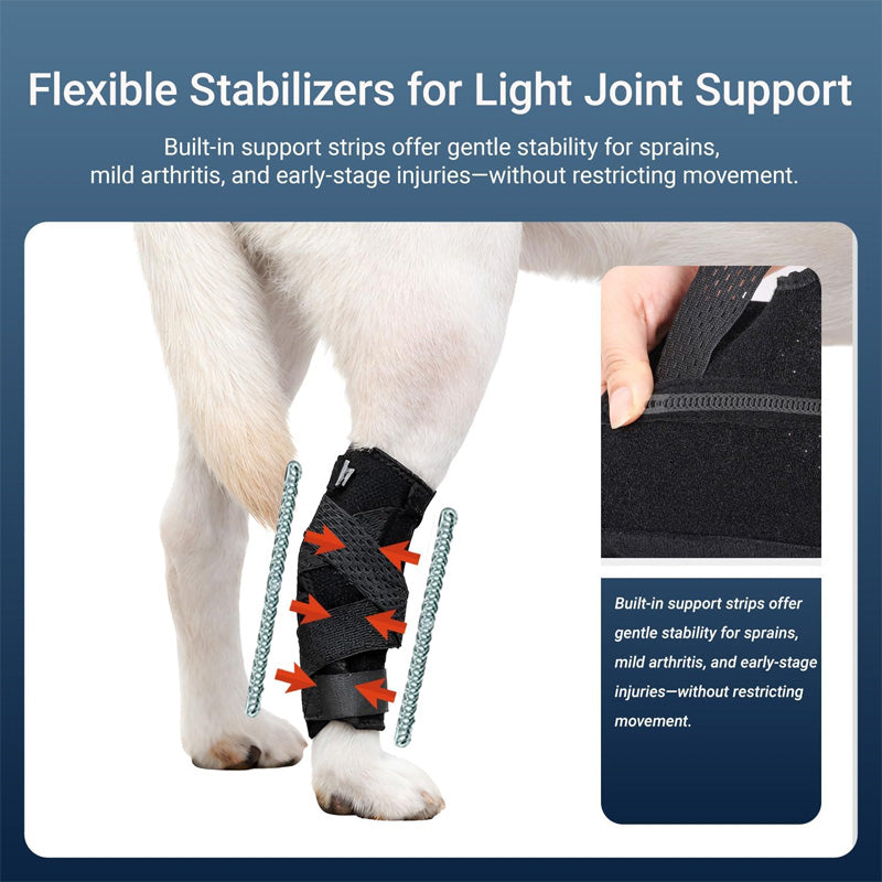 hind leg support for pet dogs